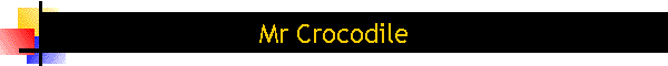 Mr Crocodile