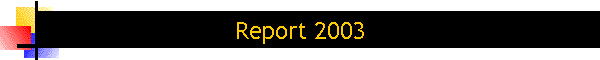 Report 2003